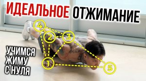 ИДЕАЛЬНОЕ ОТЖИМАНИЕ | учимся жиму С НУЛЯ