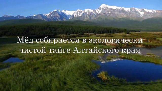Мёд купить в спб, алтайский качественный мёд