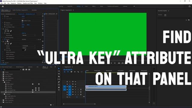 How To Remove Green Screen (Ultra Key) In Adobe Premiere Pro #UltraKey #PremierePro