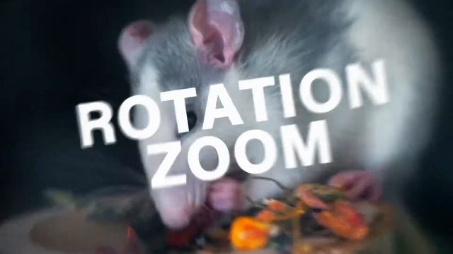 VIDEOHIVE TRANSITIONS SUPERCUT V1.1 | AE Free Templates смотреть онлайн