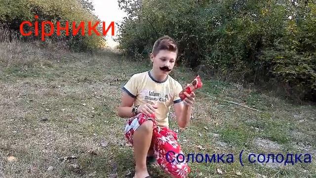 Кулінарне шоу 