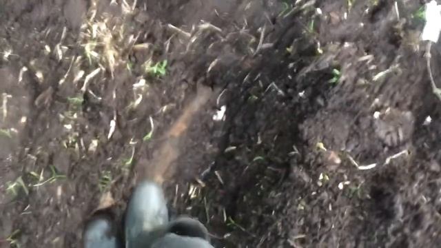 МЕТАЛЛОКОП КАКИМ ОН БЫВАЕТ/4 ВЫЕЗДА-67КГ.