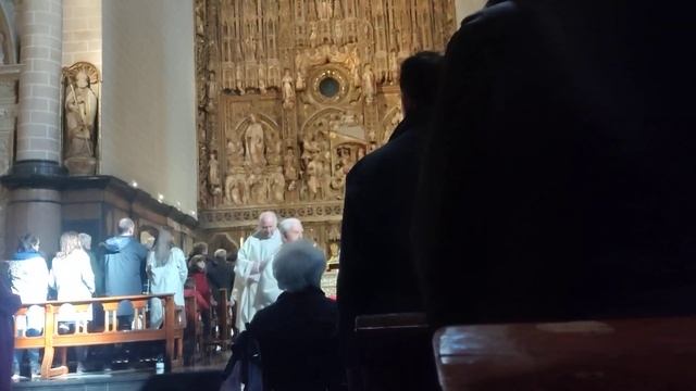 Carlos' Choir at Christmas Mass at Catedral del Salvador de Zaragoza смотреть онлайн