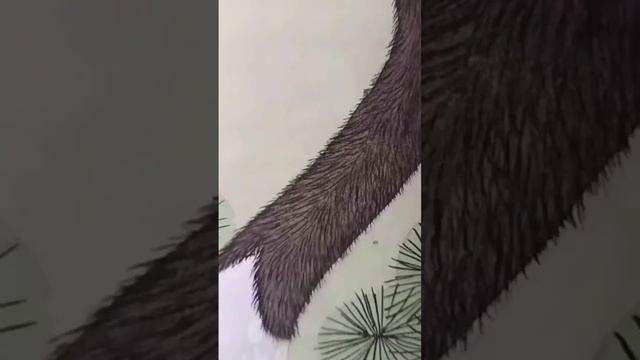 Cool Pencil Art Drawing Skill 😍 #Shorts смотреть онлайн