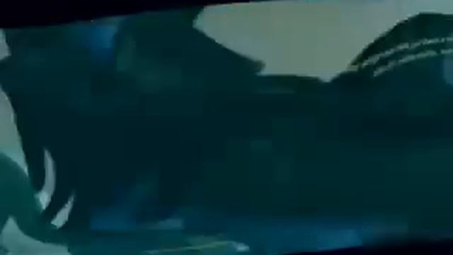 Halo Master Chief Collection Shotty Snipers on Vortex Premiere CS6 смотреть онлайн