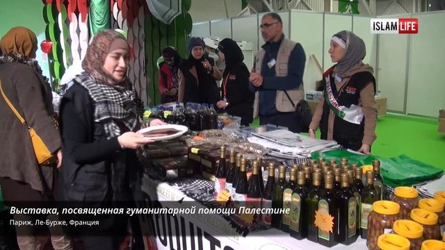 IslamLife NO COMMENTS. Выставка, посвященная гуманитарной помощи Палестине смотреть онлайн