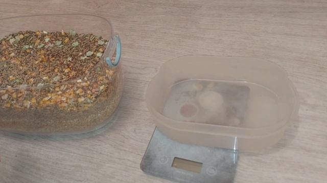 Мешанина для крыс