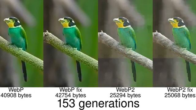 Generation Loss – WebP, WebP fix -nofilter -nofancy, WebP2, WebP2 fix -no_dblk_filter смотреть онлайн