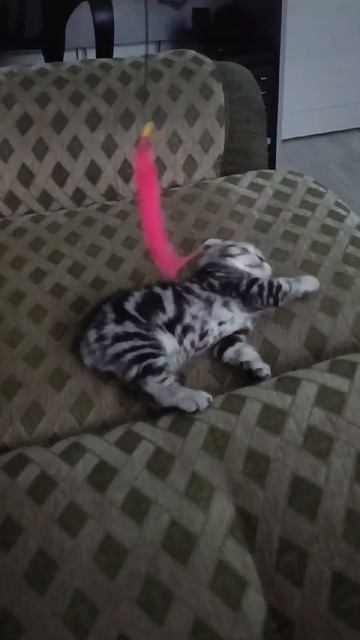 Осваиваемся