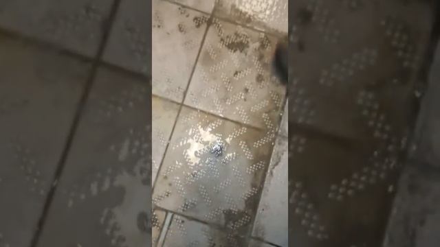 Terlans İnşaat Sonrası Çimento Temizleyici Harç Kalıntısı Ve Kireç Sökücü