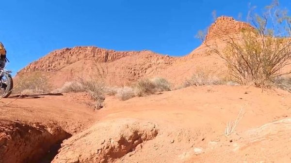 Bee Cool Bikes Explorer Test & Review