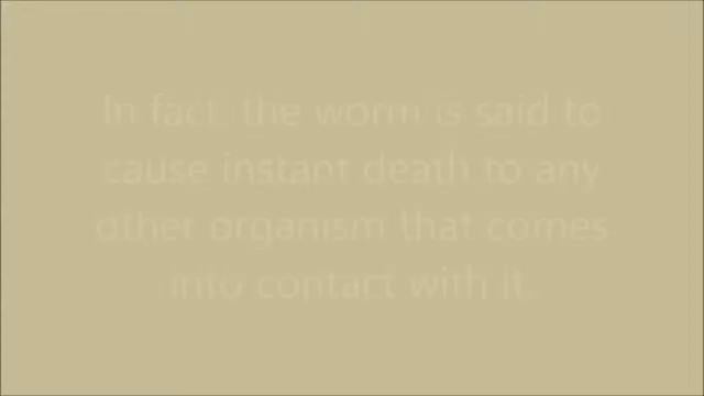 DOES THE MONGOLIAN DEATH WORM EXIST? смотреть онлайн