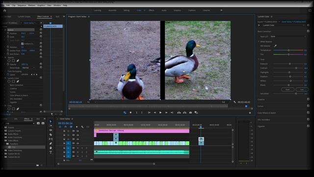 Split Screens in Adobe Premiere Pro | Ep 15 | Adobe | Adobe Premiere Pro Tutorial | Video Editing смотреть онлайн