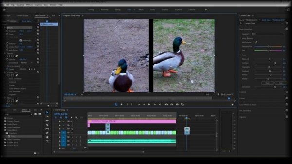 Split Screens in Adobe Premiere Pro | Ep 15 | Adobe | Adobe Premiere Pro Tutorial | Video Editing