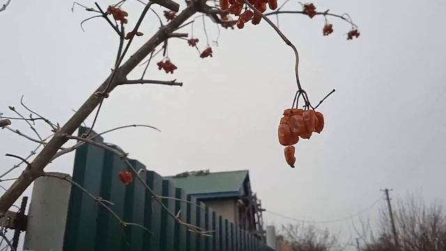 Делаем яд 💚💚Для ос ... Я на даче.😜😜 Всё безопасно смотреть онлайн