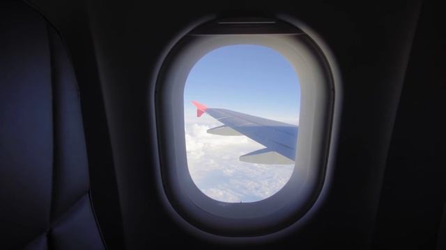 The All-new TUCSON World Premiere Highlights