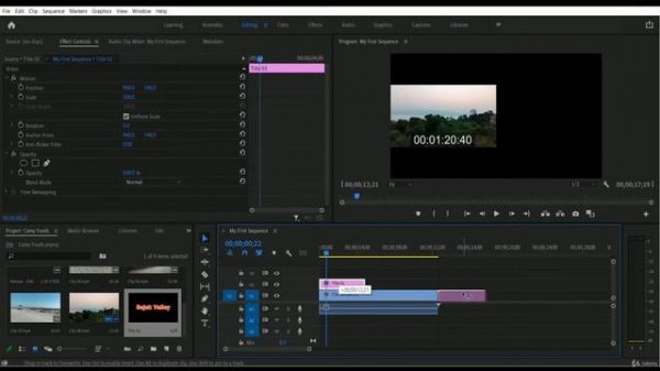 09 Essential Graphics | Adobe Premiere Pro CC | Tutorial