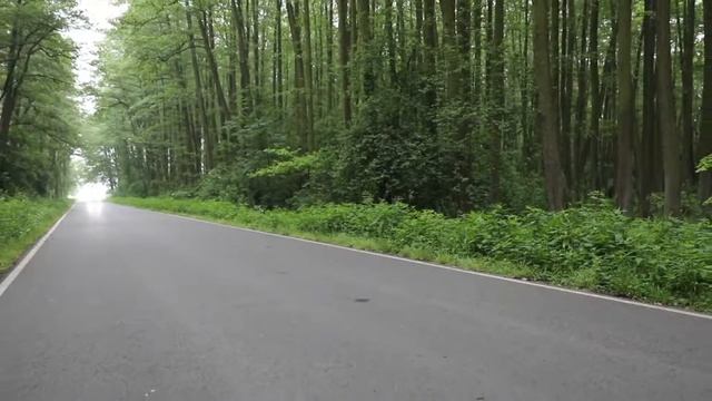 Audi RS7 2021 SPORTBACK Wow! best logo смотреть онлайн