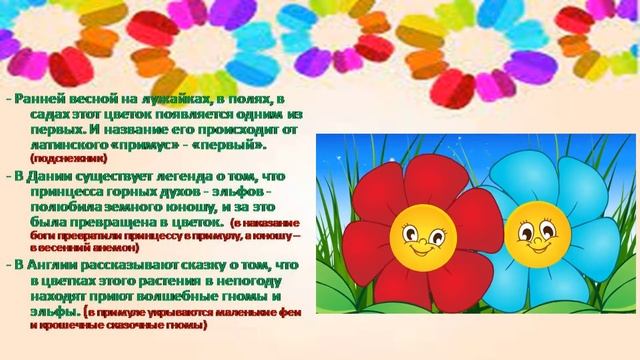 Онлайн викторина "Цветочный хоровод" смотреть онлайн