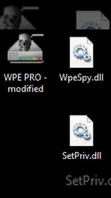 Wpe Pro Download