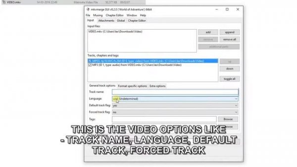 MKVTOOLNIX, MKVMERGE GUIDE