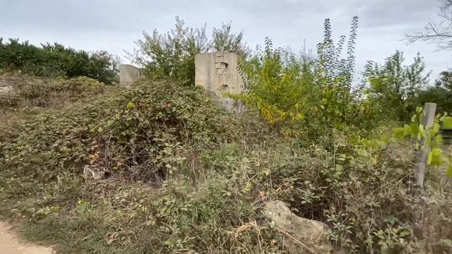 Участок 5 соток, ст. Аграрник, ул. Новосельская смотреть онлайн