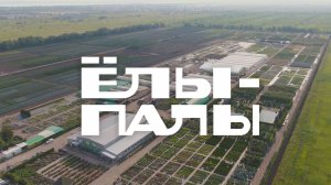 Питомник растений "ЁЛЫ-ПАЛЫ" с высоты!