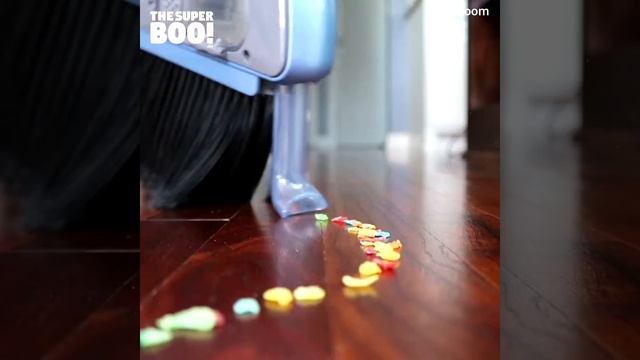 Smart Broom With a Vacuum смотреть онлайн