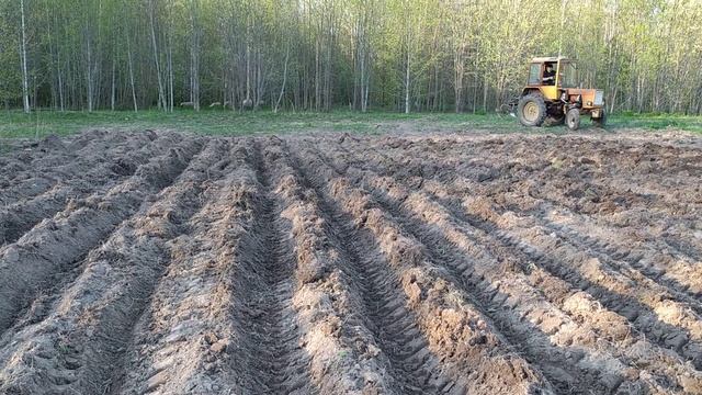 Посадили картофель на целине смотреть онлайн