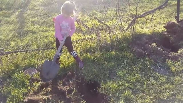 открываем дачный сезон! Мелекино! Лолита копает яму! смотреть онлайн
