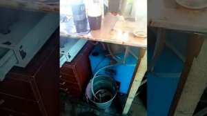 Пегас пеногаситель