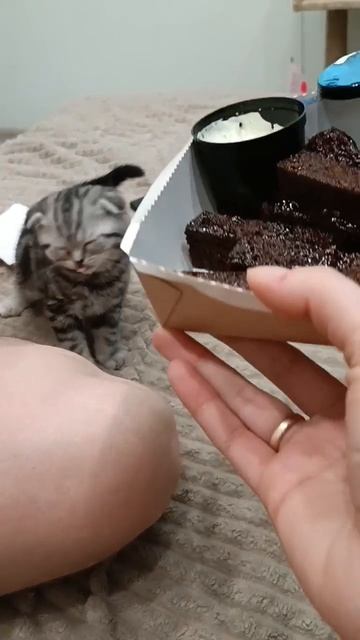 Еду забрали