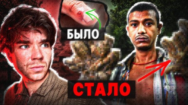Что за ВИРУС, который сделал с ним ЭТО. Почему? | Размышления