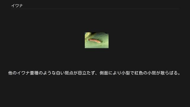 イワナ смотреть онлайн