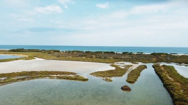 DJI Mavic Mini test Sunnylife nd16 filter смотреть онлайн