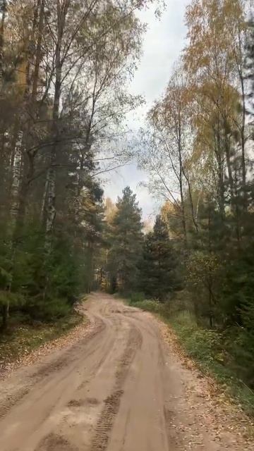 Звон колоколов у Старого Покрова смотреть онлайн
