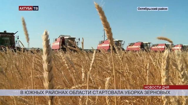 Хлеборобы опасаются низких цен на зерно в регионе смотреть онлайн