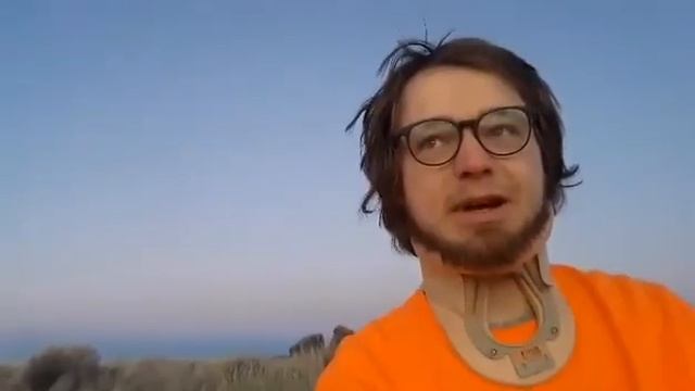 Despite everything, mold avoidance still works смотреть онлайн