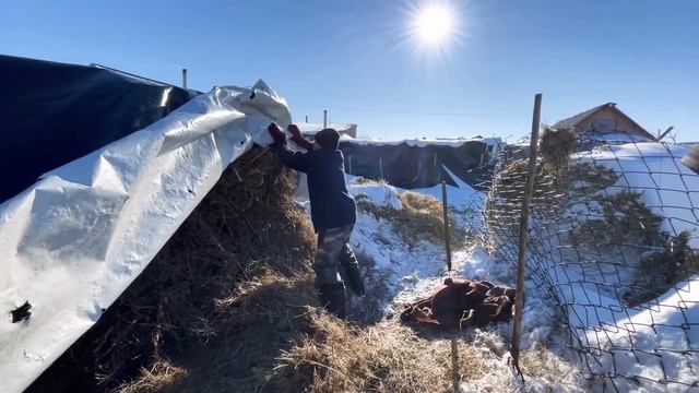 Жизнь в Северном Казахстане смотреть онлайн