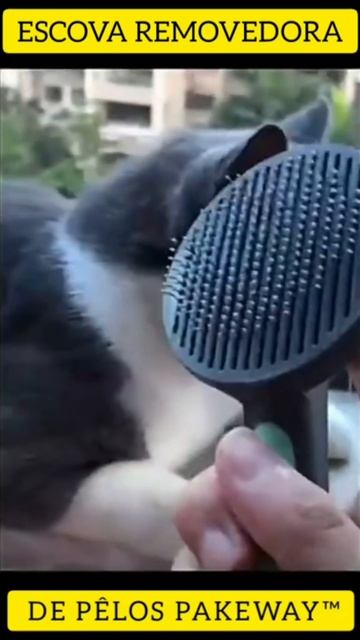 Escova massageadora e removedora de pelos para Cães e Gatos смотреть онлайн