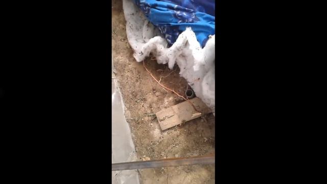 Открываем виноград в теплице смотреть онлайн