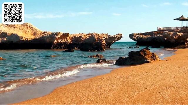 Земля и Ее Свет