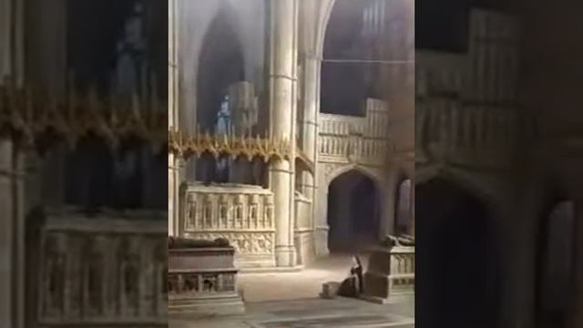 Новая пинокатека ч.2 смотреть онлайн