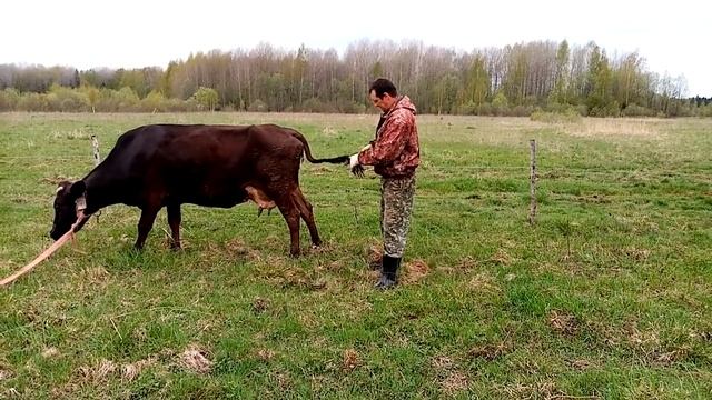 Первый сгон смотреть онлайн