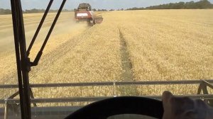 Уборка урожая на Акрос 585,часть третья.