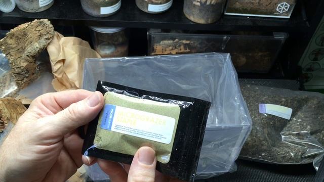 Isopod Mansion Unboxing from www.microvarium.com ! смотреть онлайн