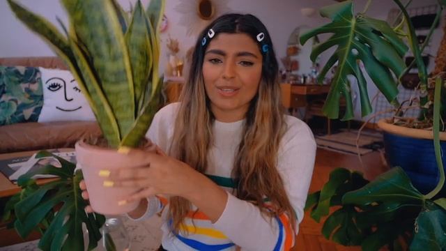 ONLINE HOUSE PLANT HAUL 🌿 .. Leaf envy & Bakker смотреть онлайн