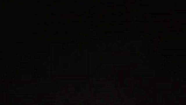 Мої пернаті друзі.Яструб вийшов на охоту(шукаю свого голуба)🕊️🕊️ смотреть онлайн