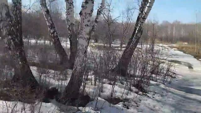 На приеме у врача смотреть онлайн