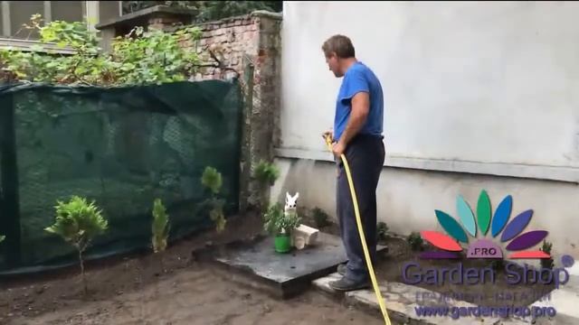 When to plant grass seed in zone 4 смотреть онлайн